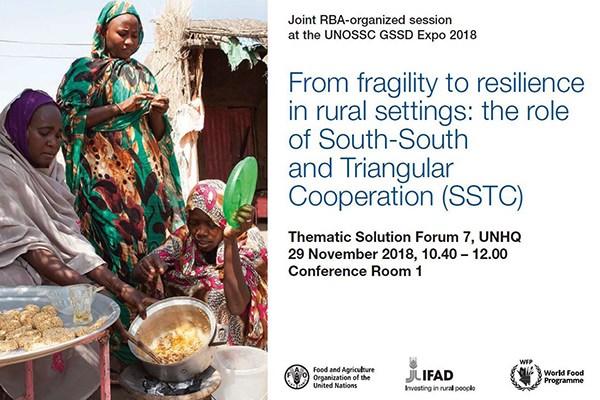 Participation of Rome-based agencies in the Global South-South Development Expo 2018