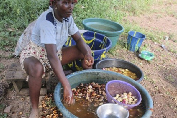 UNESCO: Green Economy in Nigeria gets a boost from India-UN Fund