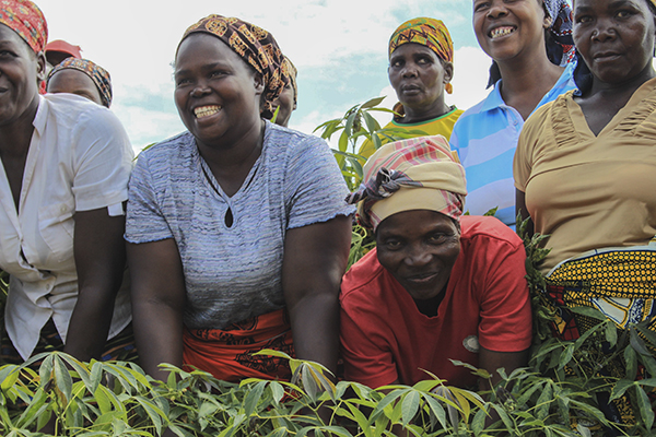 China-IFAD South-South and Triangular Cooperation Facility: Second Call for Proposals