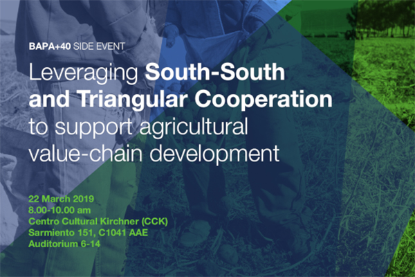 IFAD – Islamic Development Bank Side Event at BAPA+40