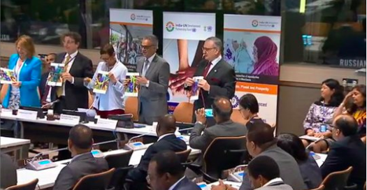 Second Anniversary Commemoration of the India-UN Development Partnership Fund