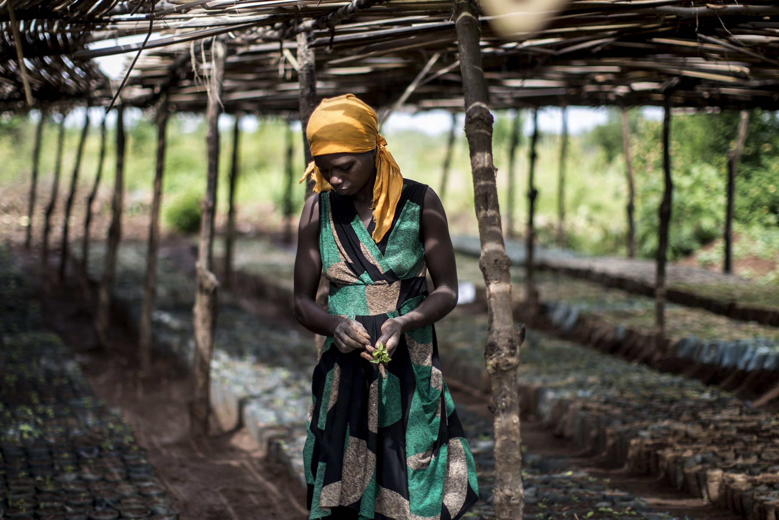 International Day for the Eradication of Poverty – South-South Cooperation Toward Achieving SDG1