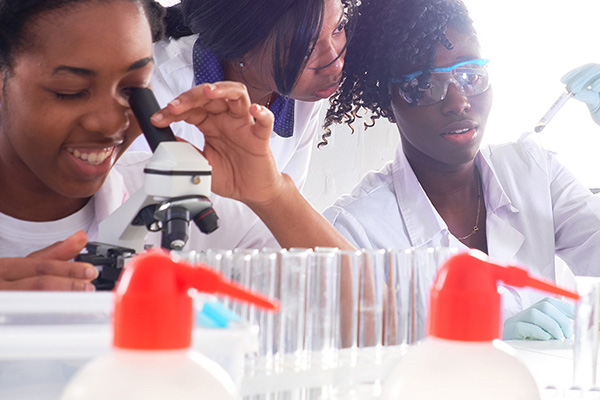 ICGEB and UNOSSC Unite for Scientific Cooperation Across the Life Sciences