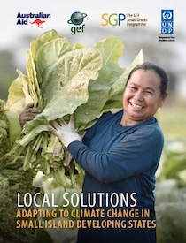 Local Solutions: Adapting to Climate Change in SIDS