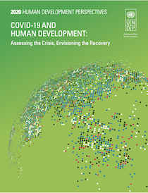 COVID-19 and Human Development: Assessing the Crisis, Envisioning the Recovery