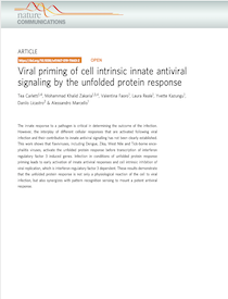 Research Article: Viral Priming of Cell Intrinsic Innate Antiviral Signaling by the Unfolded Protein Response