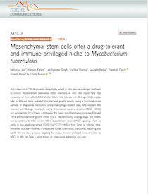 Research Article: Mesenchymal Stem Cells Offer a Drug-tolerant and Immune-Privileged Niche to Mycobacterium Tuberculosis