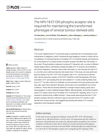Research Article: HPV-18 E7 CKII Phospho Acceptor Site for Maintaining the Transformed Phenotype of Cervical Tumour-Derived Cells