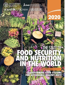 The State of Food Security and Nutrition in the World