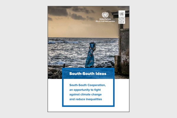 South-South Global Thinkers