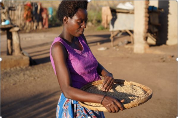 Climate smart agriculture is reducing food waste and giving women hope in Zimbabwe