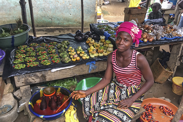 IBSA Board Approves Projects in The Gambia, Mozambique and Uganda