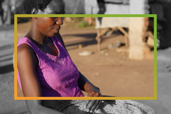 Climate-smart agriculture is reducing food waste and giving women hope in Zimbabwe