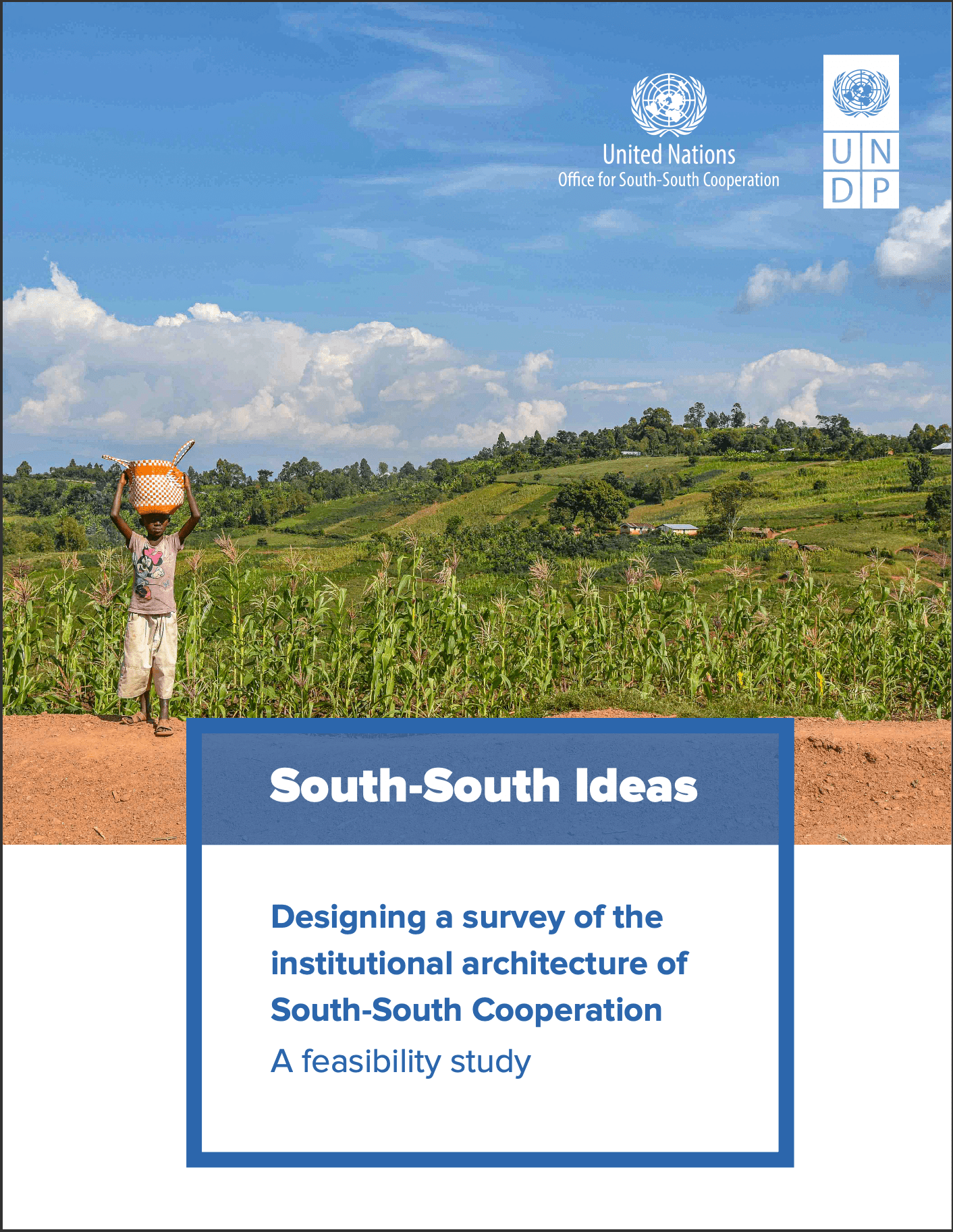 South-South Ideas: Designing a Survey of the Institutional Architecture of South-South Cooperation