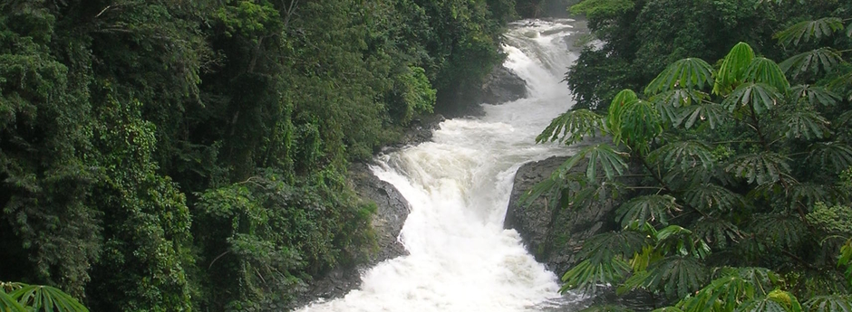 Omo Biosphere reserve, Nigeria