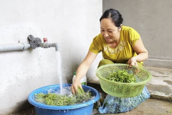Triangular Water, Energy and Food Technology Projects to be Piloted in Cambodia, Lao PDR, Thailand and Viet Nam