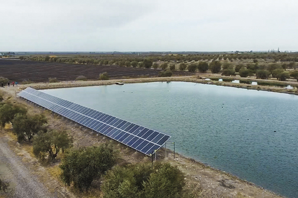 PGTF: Solar Energy Experiences Shared Among Vineyards in Argentina, Chile, and South Africa