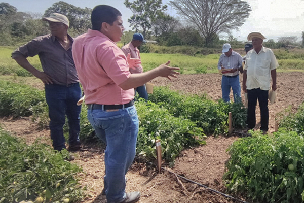 PGTF: Cuba, Panama and Paraguay Build Food Security through Climate Conscious Agriculture