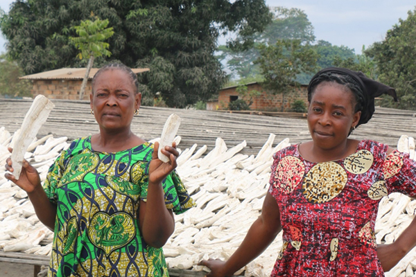 IBSA Fund: Addressing Food Security in the Republic of Congo