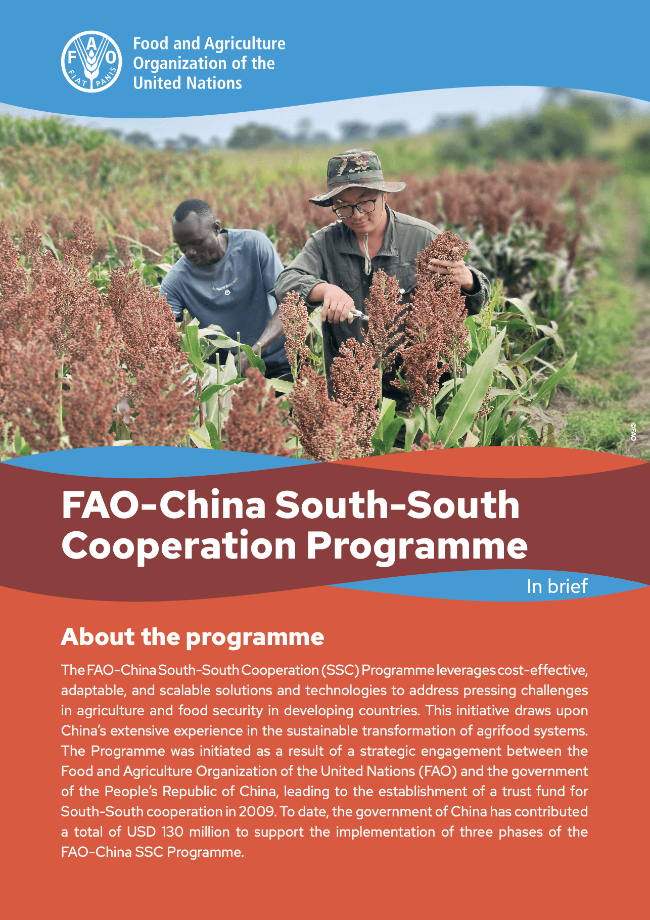 FAO-China South-South Cooperation Programme – In brief (FAO, 2024)
