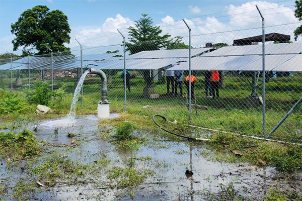 World Environment Day: Harnessing South-South Cooperation for Climate Action