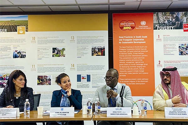 2024 Global Advocacy Dialogue Series: Leveraging Private Sector Strength in the Global South
