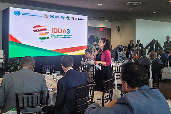 Regional South-South and Triangular Cooperation Building Sustainable Industry in Africa