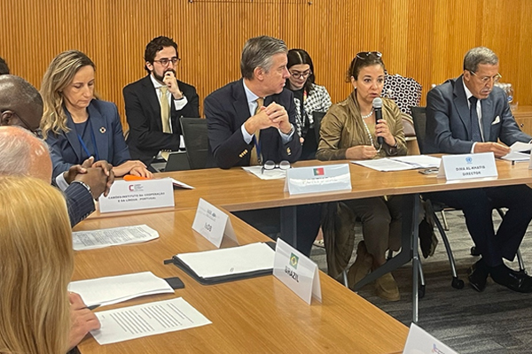Accelerating SDG Progress Through Financing of Triangular Cooperation