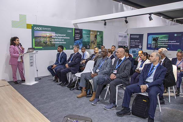 COP29: Catalyzing Impactful South-South and Triangular Cooperation Partnerships