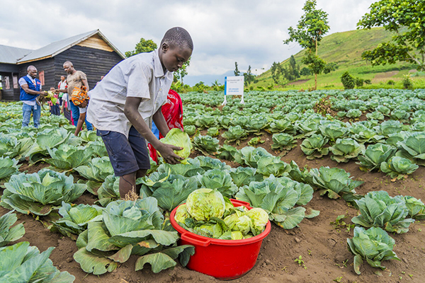 IBSA Fund: School Feeding Programme Highlights Connection Between Family Farming and School Feeding