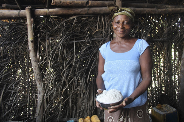 IBSA Fund: Board of Directors Approves New Development Projects in Liberia and Gabon