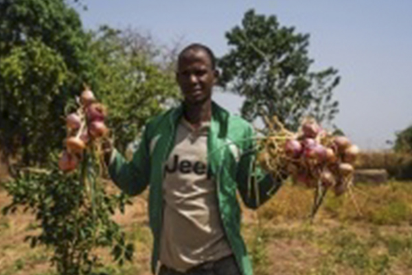 IBSA Fund: Retired Soldiers Transforming Farms with IBSA Support