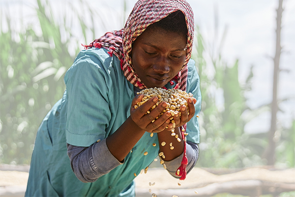 South-South and Triangular Cooperation Case Studies in Support of the Awaza Landlocked Developing Countries Programme of Action 2024-2034