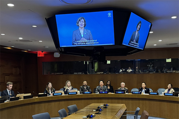 FAO launches new South-South and Triangular Cooperation Gateway Platform