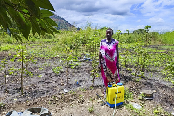 IBSA Fund: Scaling Solar Irrigation for Climate-Resilient Agriculture in South Sudan