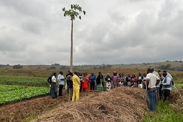 IBSA Fund: Republic of Congo Advances Home-Grown School Feeding Through South-South Cooperation
