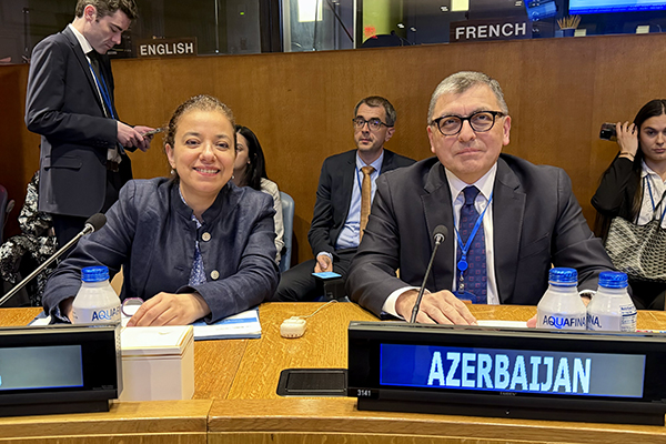 UN Committee of Experts on Public Administration Showcases South-South Cooperation as Key to Effective Public Service Delivery